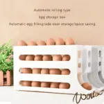 4 Tiers Egg Holder for Fridge
