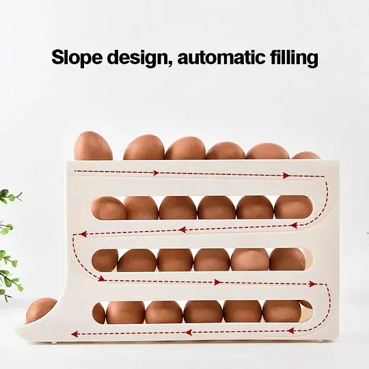 Large egg container
